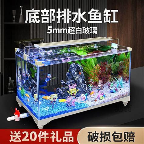 懶人養魚